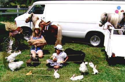 Houston Bunny Petting Zoo Rentals With The Fun Factory Party Rentals