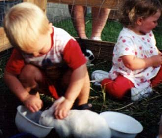 Fort Worth Bunny Petting Zoo Rentals